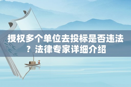 授權(quán)多個(gè)單位去投標(biāo)是否違法？法律專家詳細(xì)介紹