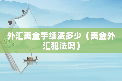 外匯美金手續(xù)費(fèi)多少（美金外匯犯法嗎）