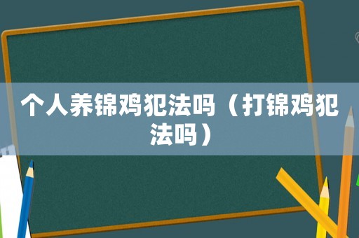 個人養(yǎng)錦雞犯法嗎（打錦雞犯法嗎）