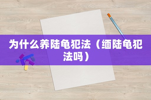 為什么養(yǎng)陸龜犯法（緬陸龜犯法嗎）
