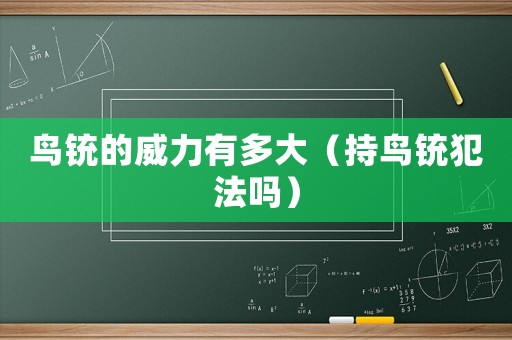 鳥(niǎo)銃的威力有多大（持鳥(niǎo)銃犯法嗎）