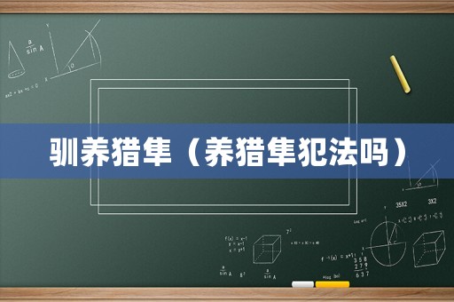 馴養(yǎng)獵隼（養(yǎng)獵隼犯法嗎）