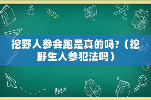 挖野人參會(huì)跑是真的嗎?（挖野生人參犯法嗎）