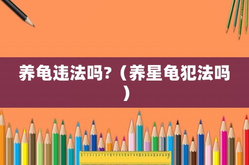養(yǎng)龜違法嗎?（養(yǎng)星龜犯法嗎）
