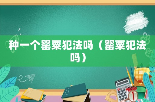 種一個罌粟犯法嗎（罌粟犯法嗎）