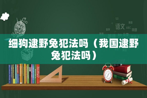 細狗逮野兔犯法嗎（我國逮野兔犯法嗎）