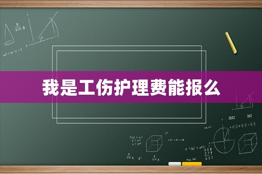 我是工傷護(hù)理費(fèi)能報(bào)么