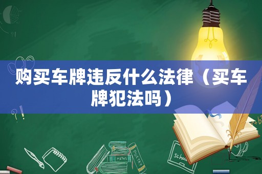 購買車牌違反什么法律（買車牌犯法嗎）