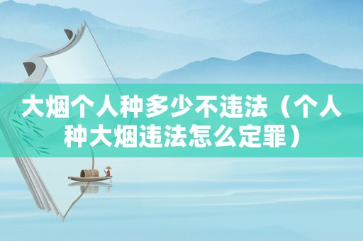 大煙個(gè)人種多少不違法（個(gè)人種大煙違法怎么定罪）