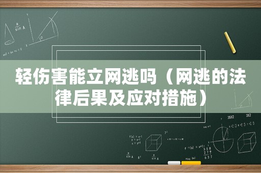 輕傷害能立網(wǎng)逃嗎（網(wǎng)逃的法律后果及應(yīng)對措施）