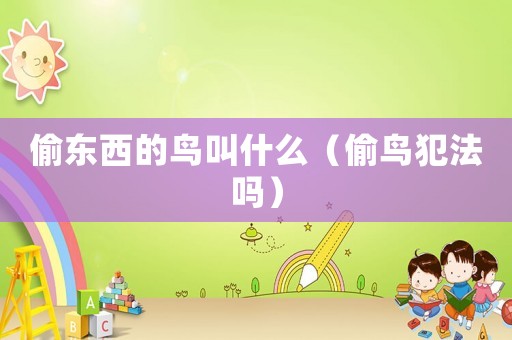 偷東西的鳥叫什么（偷鳥犯法嗎）