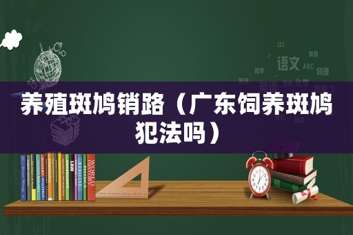 養(yǎng)殖斑鳩銷路（廣東飼養(yǎng)斑鳩犯法嗎）