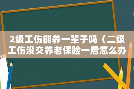 2級(jí)工傷能養(yǎng)一輩子嗎（二級(jí)工傷沒交養(yǎng)老保險(xiǎn)一后怎么辦）