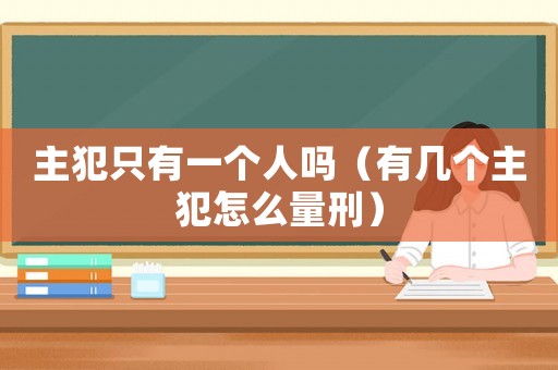 主犯只有一個人嗎（有幾個主犯怎么量刑）