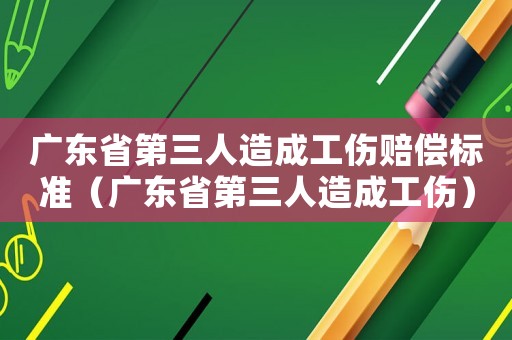 廣東省第三人造成工傷賠償標(biāo)準(zhǔn)（廣東省第三人造成工傷）