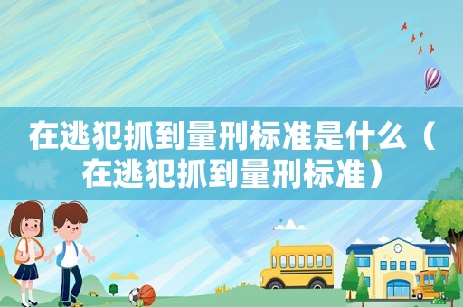 在逃犯抓到量刑標(biāo)準(zhǔn)是什么（在逃犯抓到量刑標(biāo)準(zhǔn)）