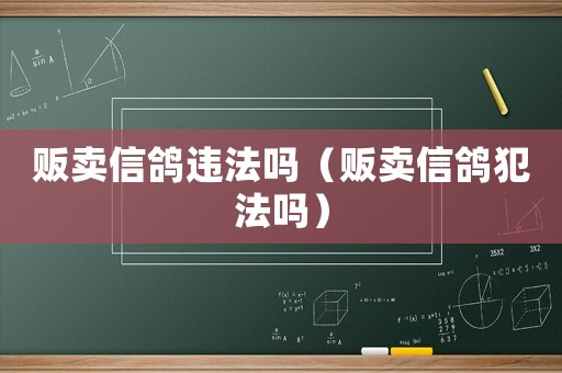 販賣信鴿違法嗎（販賣信鴿犯法嗎）