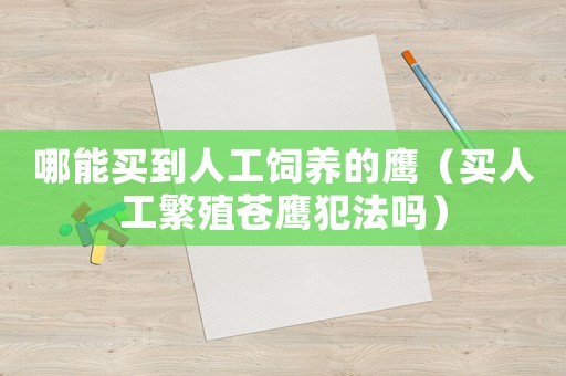 哪能買到人工飼養(yǎng)的鷹（買人工繁殖蒼鷹犯法嗎）