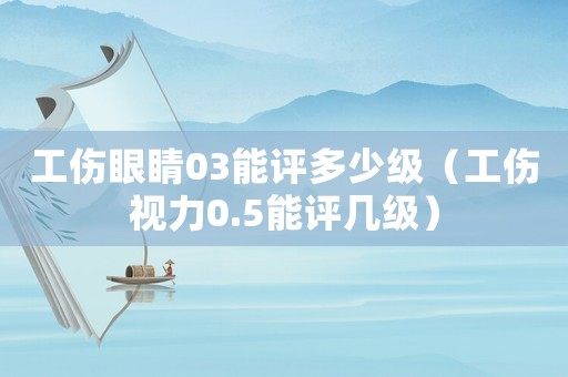 工傷眼睛03能評多少級（工傷視力0.5能評幾級）