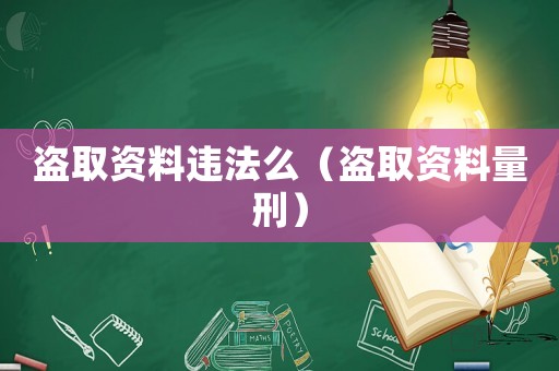 盜取資料違法么（盜取資料量刑）