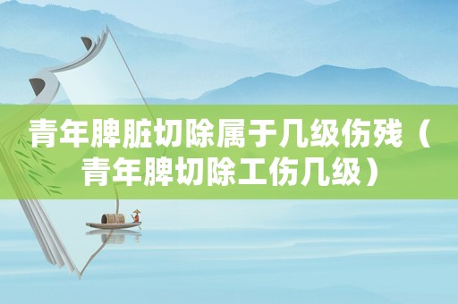 青年脾臟切除屬于幾級(jí)傷殘（青年脾切除工傷幾級(jí)）