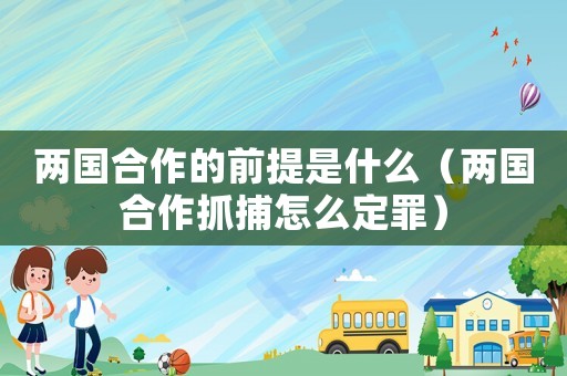 兩國(guó)合作的前提是什么（兩國(guó)合作抓捕怎么定罪）
