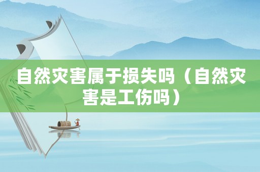 自然災(zāi)害屬于損失嗎（自然災(zāi)害是工傷嗎）