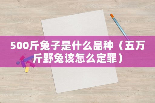 500斤兔子是什么品種（五萬(wàn)斤野兔該怎么定罪）