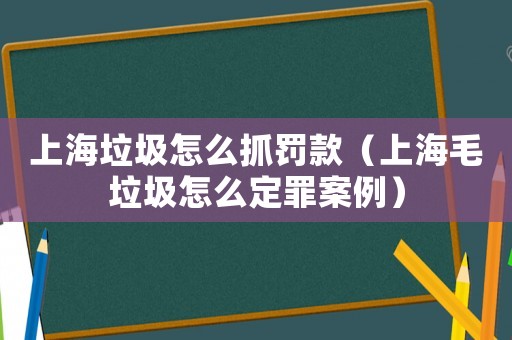 上海垃圾怎么抓罰款（上海毛垃圾怎么定罪案例）