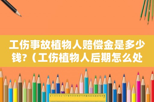 工傷事故植物人賠償金是多少錢(qián)?（工傷植物人后期怎么處理）