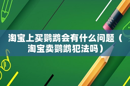 淘寶上買鸚鵡會(huì)有什么問題（淘寶賣鸚鵡犯法嗎）