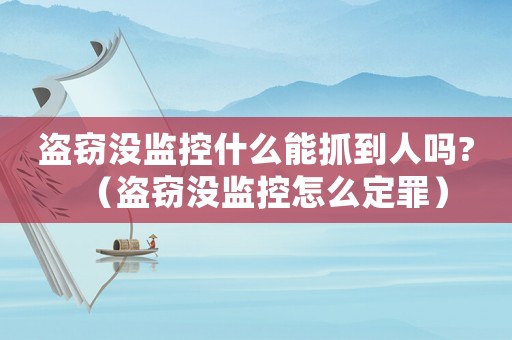 盜竊沒監(jiān)控什么能抓到人嗎?（盜竊沒監(jiān)控怎么定罪）