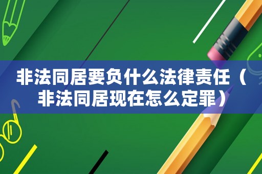 非法同居要負什么法律責任（非法同居現(xiàn)在怎么定罪）