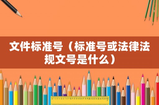 文件標(biāo)準(zhǔn)號(hào)（標(biāo)準(zhǔn)號(hào)或法律法規(guī)文號(hào)是什么）