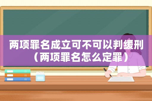 兩項(xiàng)罪名成立可不可以判緩刑（兩項(xiàng)罪名怎么定罪）