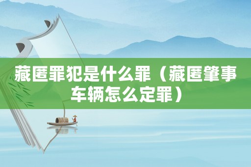 藏匿罪犯是什么罪（藏匿肇事車輛怎么定罪）