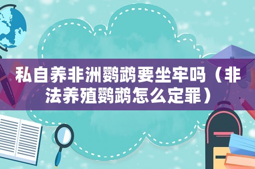 私自養(yǎng)非洲鸚鵡要坐牢嗎（非法養(yǎng)殖鸚鵡怎么定罪）