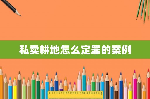 私賣(mài)耕地怎么定罪的案例