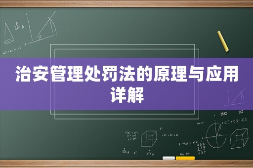 治安管理處罰法的原理與應(yīng)用詳解