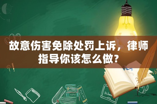 故意傷害免除處罰上訴，律師指導(dǎo)你該怎么做？