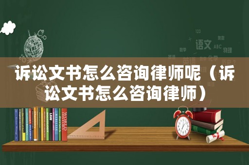 訴訟文書怎么咨詢律師呢（訴訟文書怎么咨詢律師）