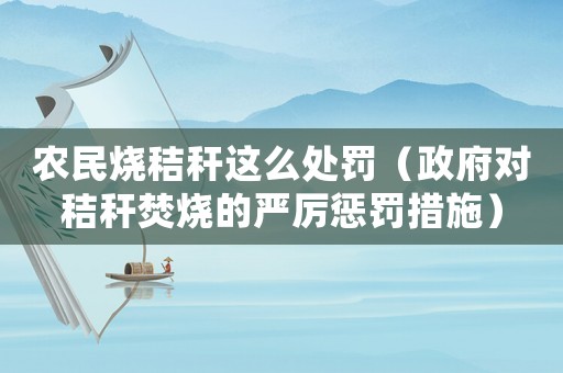 農(nóng)民燒秸稈這么處罰（政府對秸稈焚燒的嚴(yán)厲懲罰措施）
