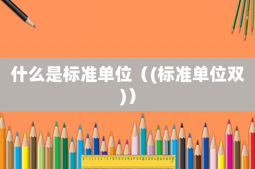 什么是標(biāo)準(zhǔn)單位（(標(biāo)準(zhǔn)單位雙)）