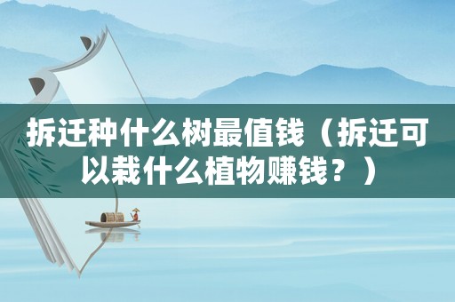 拆遷種什么樹(shù)最值錢（拆遷可以栽什么植物賺錢？）