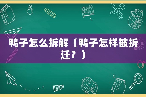 鴨子怎么拆解（鴨子怎樣被拆遷？）