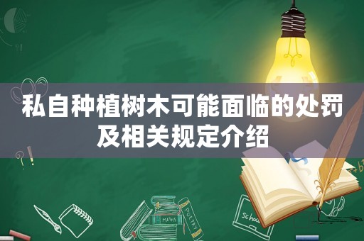 私自種植樹木可能面臨的處罰及相關(guān)規(guī)定介紹