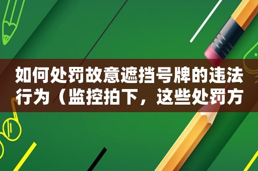 如何處罰故意遮擋號牌的違法行為（監(jiān)控拍下，這些處罰方式必須知道）