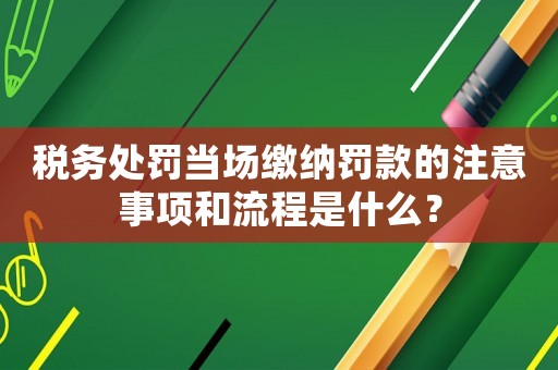 稅務處罰當場繳納罰款的注意事項和流程是什么？