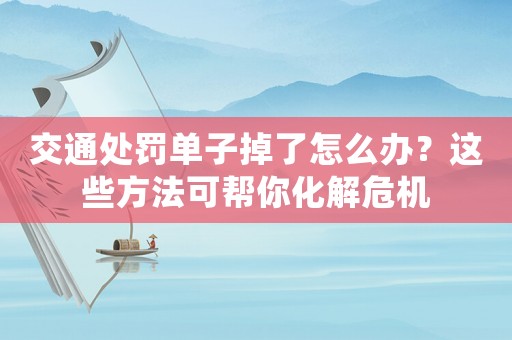 交通處罰單子掉了怎么辦？這些方法可幫你化解危機
