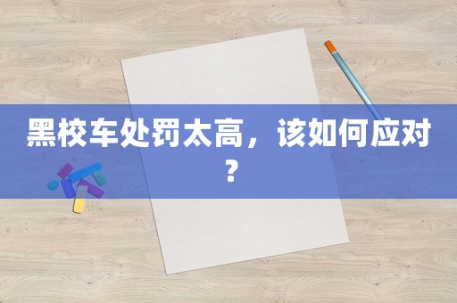 黑校車處罰太高，該如何應對？